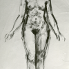 Akt Torso 1969